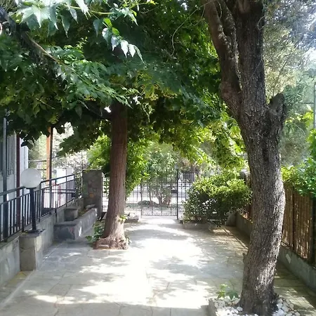 Casa de Férias Under The Trees PalaiónTsiflíkion